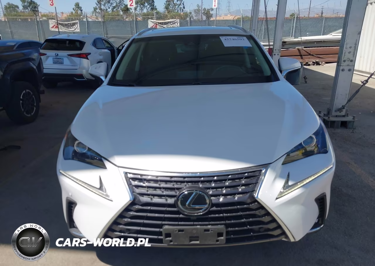 2019 Lexus Nx 300 VIN:JTJYARBZ2K2138806 - 12