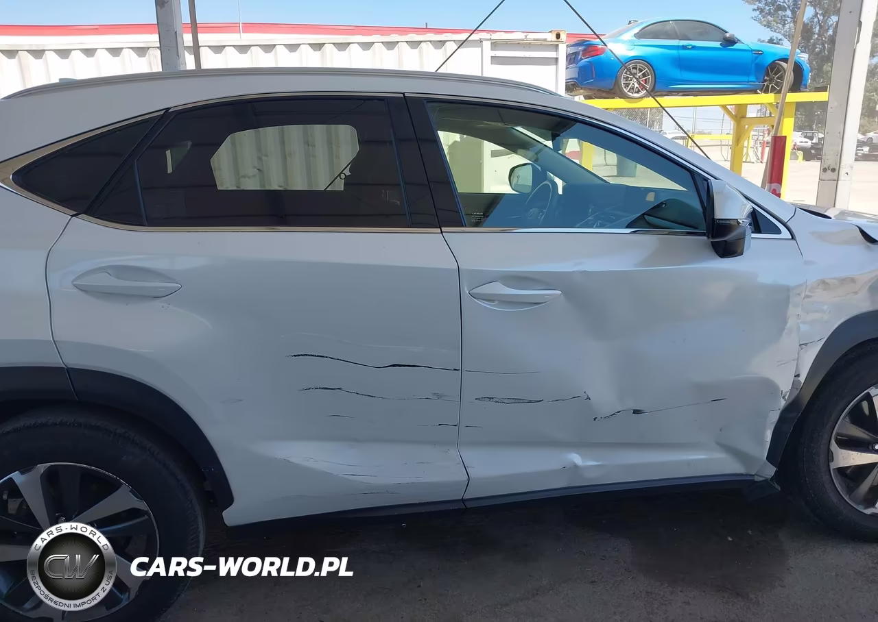 2019 Lexus Nx 300 VIN:JTJYARBZ2K2138806 - 13