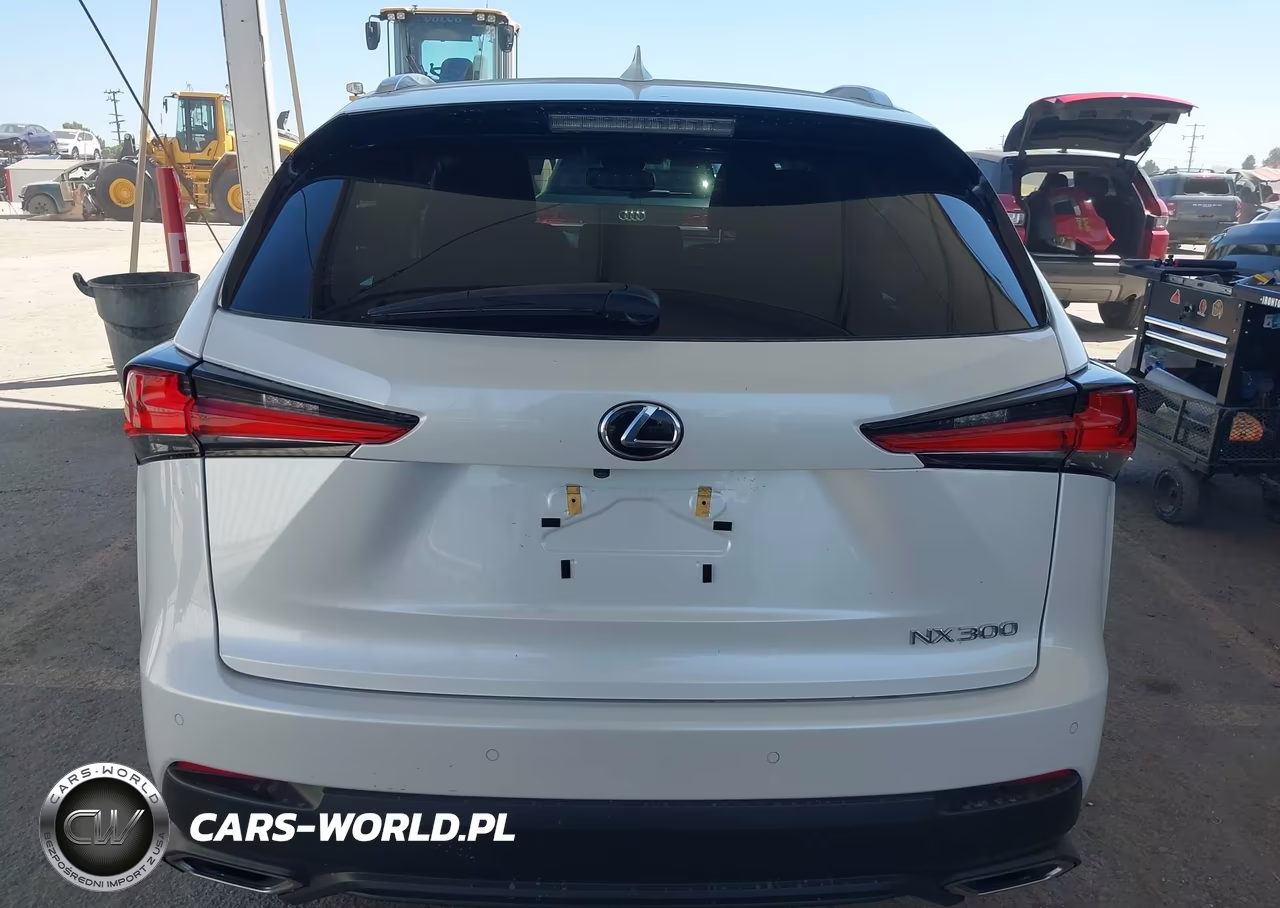 2019 Lexus Nx 300 VIN:JTJYARBZ2K2138806 - 16