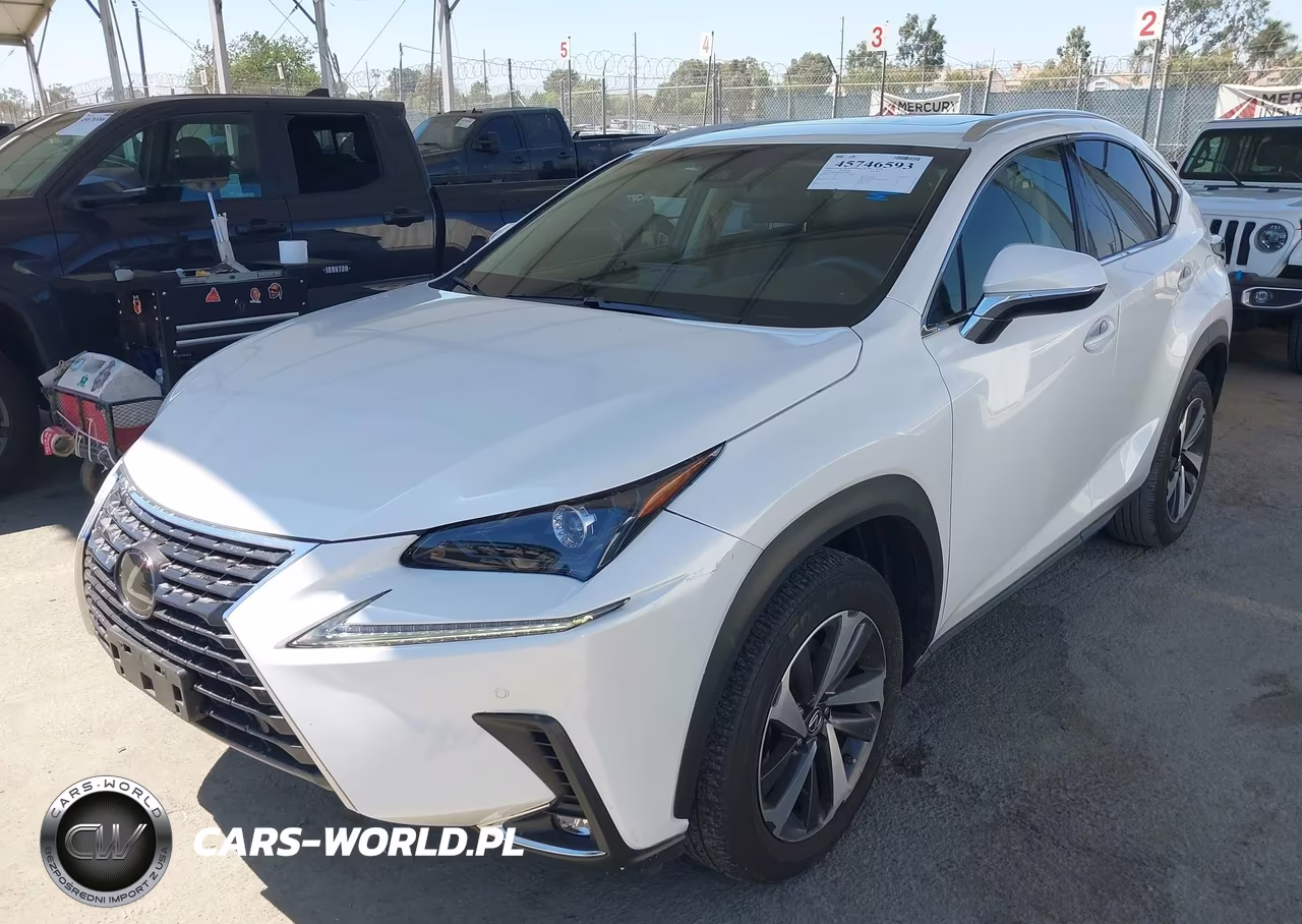 2019 Lexus Nx 300 VIN:JTJYARBZ2K2138806 - 2