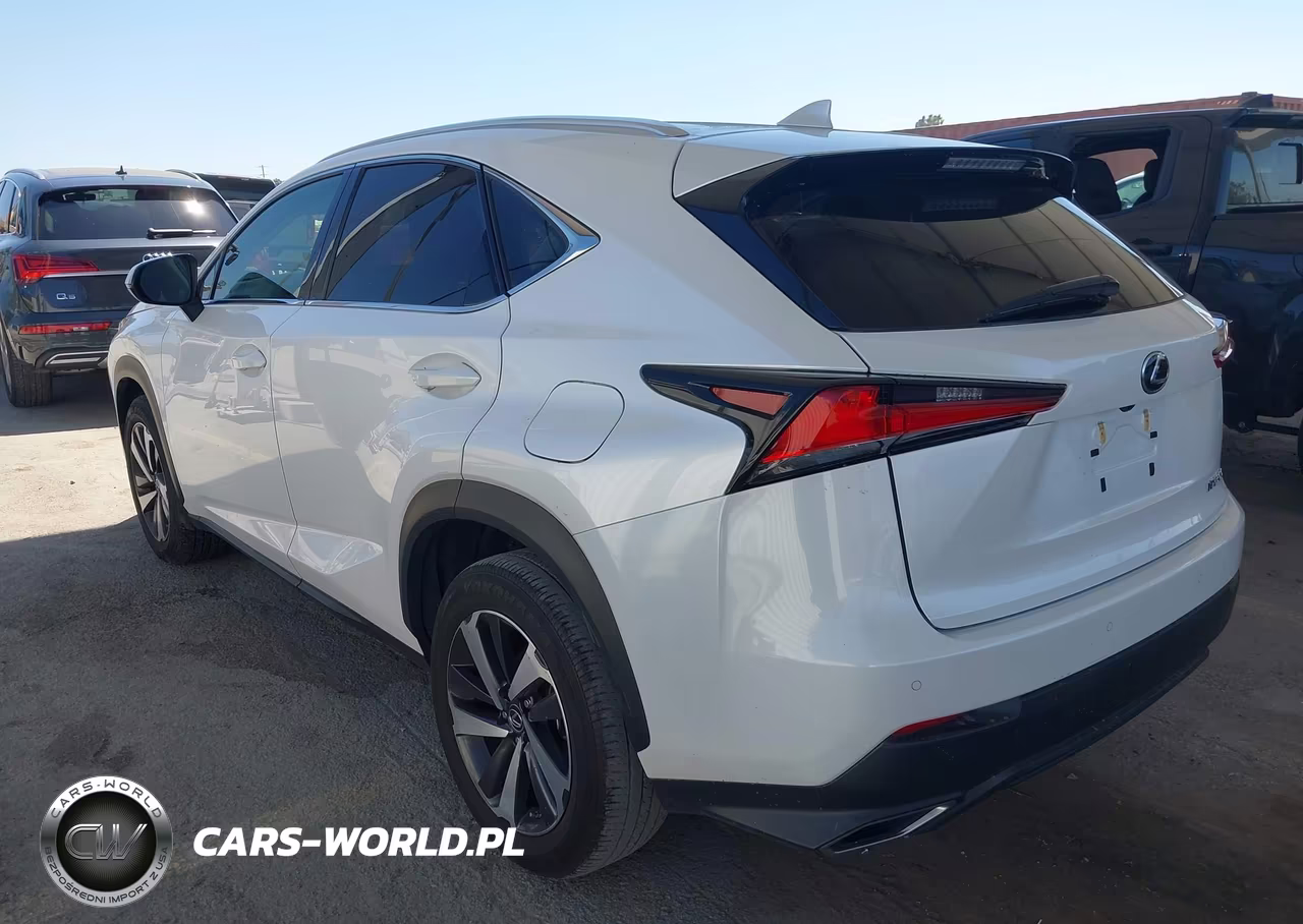 2019 Lexus Nx 300 VIN:JTJYARBZ2K2138806 - 3