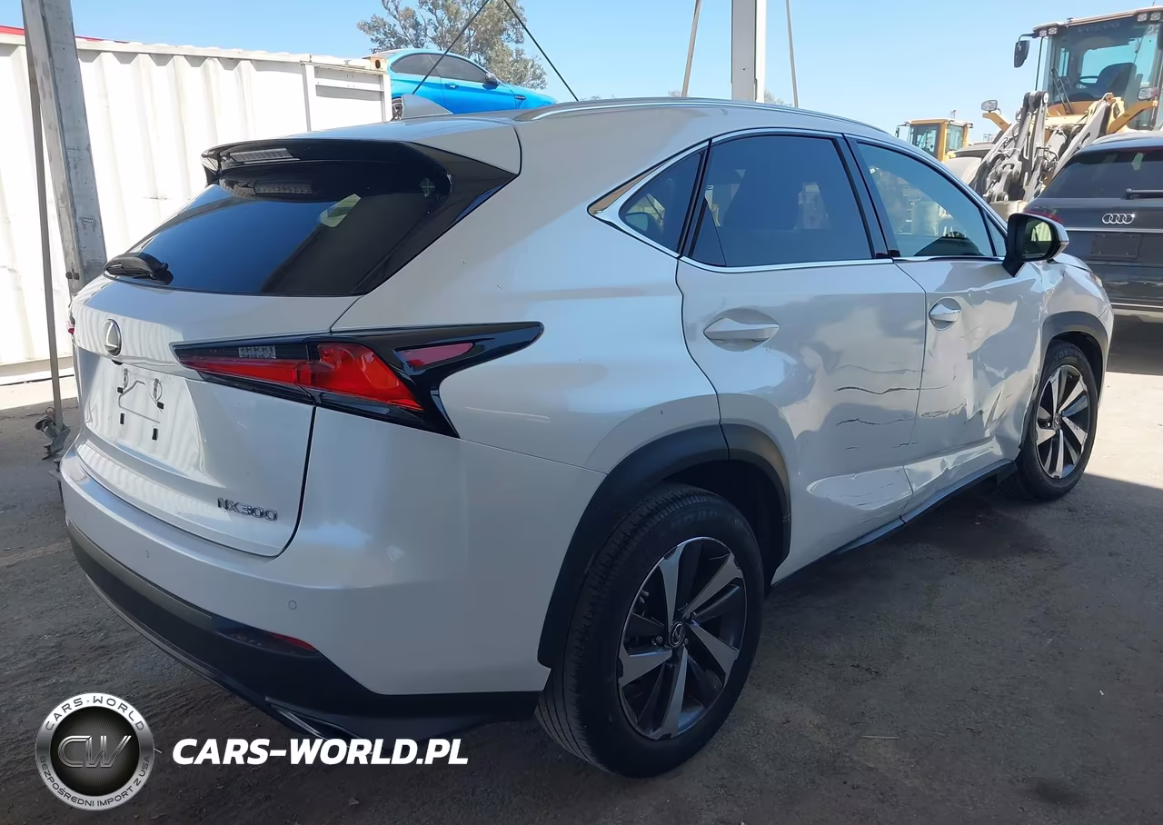 2019 Lexus Nx 300 VIN:JTJYARBZ2K2138806 - 4
