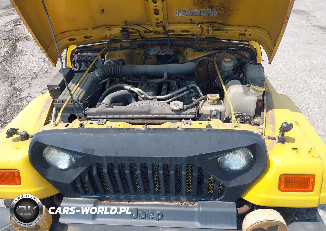 2000 Jeep Wrangler Sport VIN:1J4FA49S6YP726445 - 10