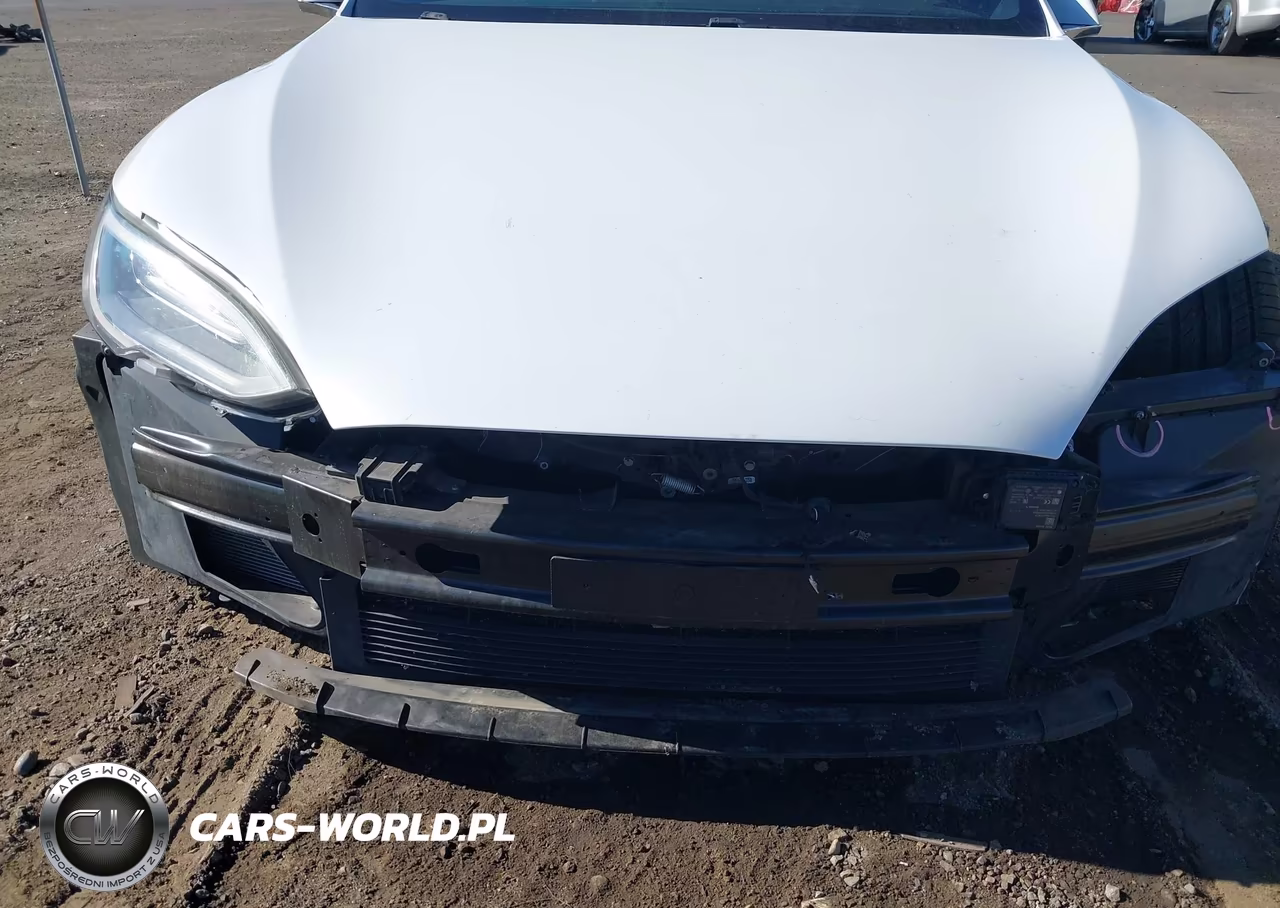 2021 Tesla Model S Long Range Dual Motor All-Wheel Drive-Long Range Plus Dual Motor All-Wheel Drive VIN:5YJSA1E27MF427754 - 20