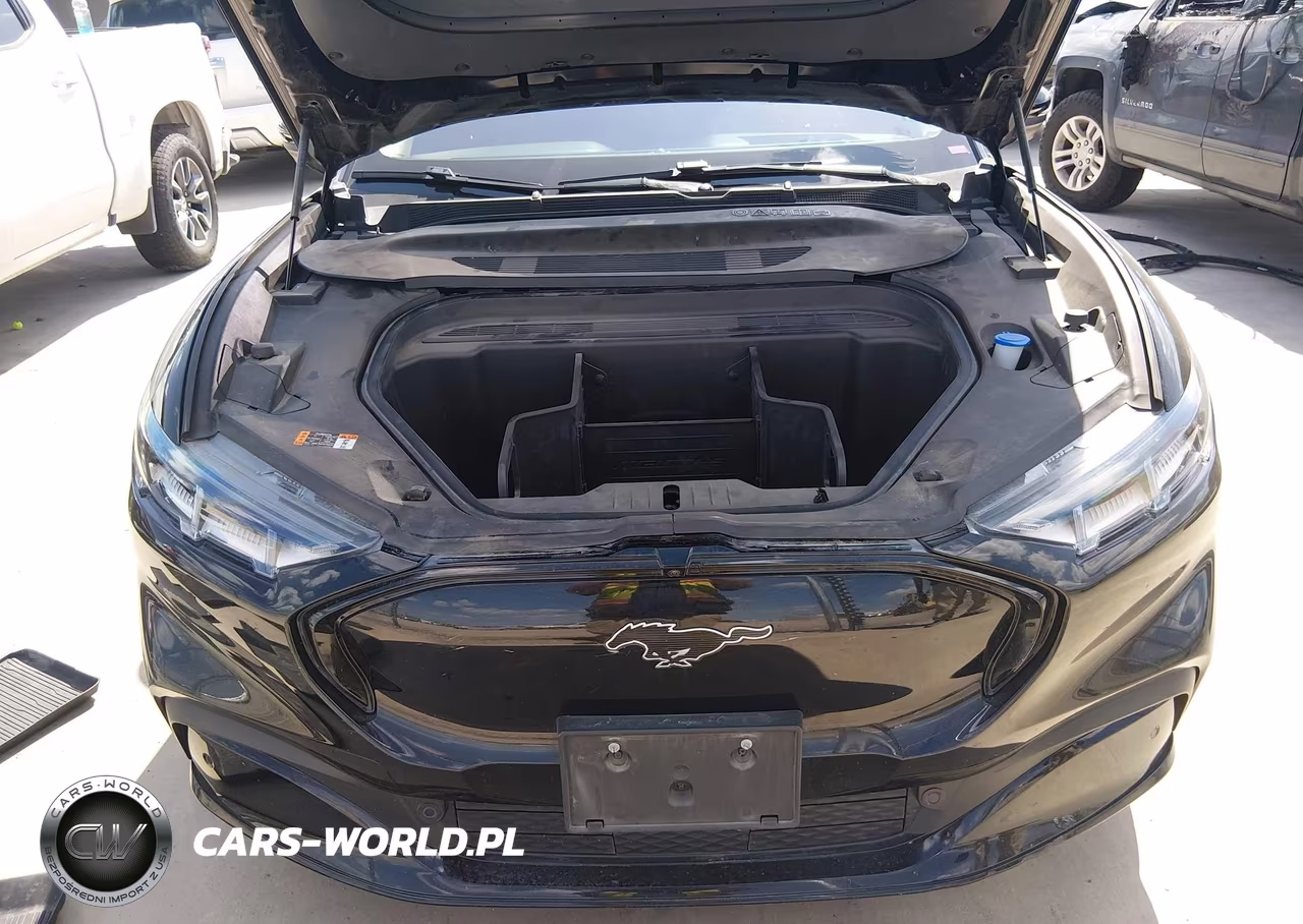 2021 Ford Mustang Mach-E Premium VIN:3FMTK3R72MMA03120 - 10