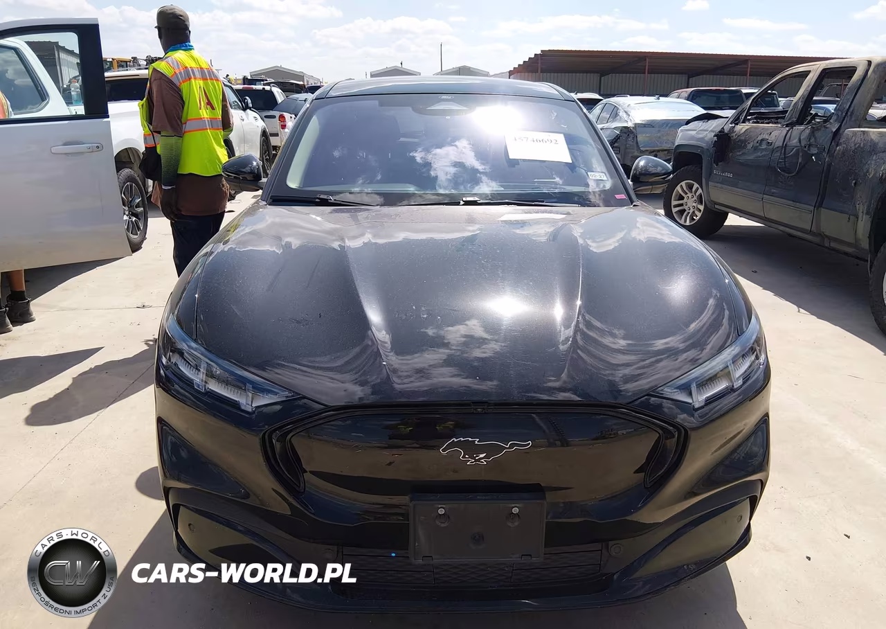 2021 Ford Mustang Mach-E Premium VIN:3FMTK3R72MMA03120 - 13