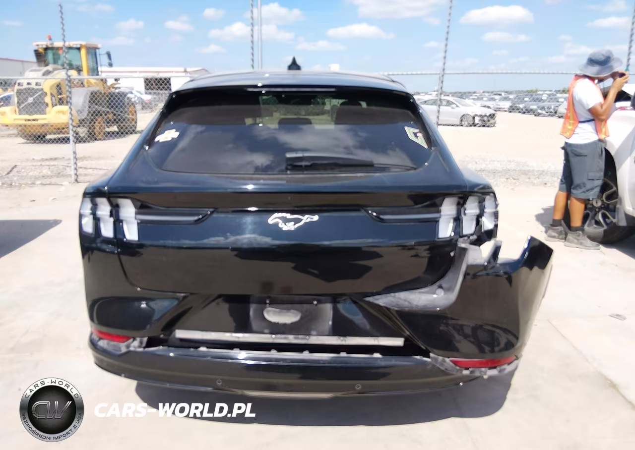 2021 Ford Mustang Mach-E Premium VIN:3FMTK3R72MMA03120 - 17