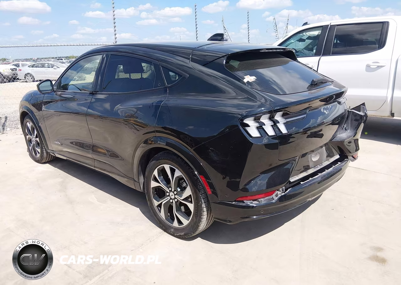 2021 Ford Mustang Mach-E Premium VIN:3FMTK3R72MMA03120 - 3