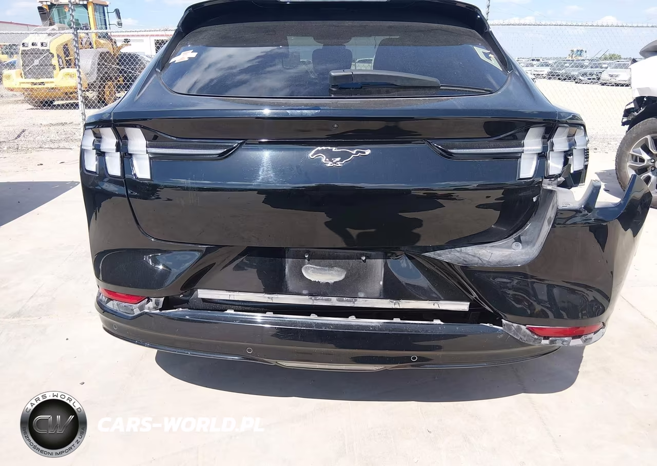 2021 Ford Mustang Mach-E Premium VIN:3FMTK3R72MMA03120 - 6