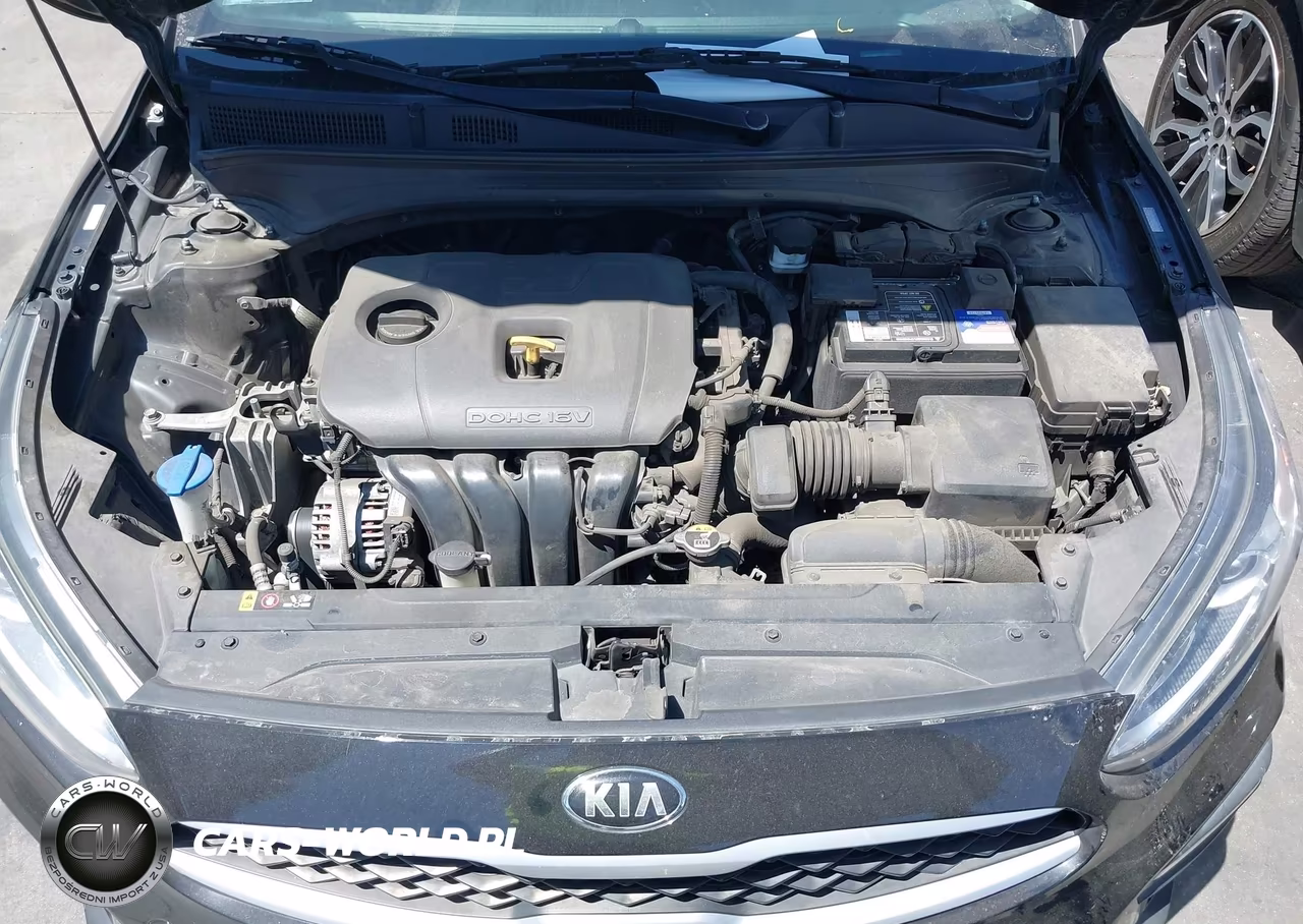 2020 Kia Forte Fe VIN:3KPF24AD5LE236118 - 10
