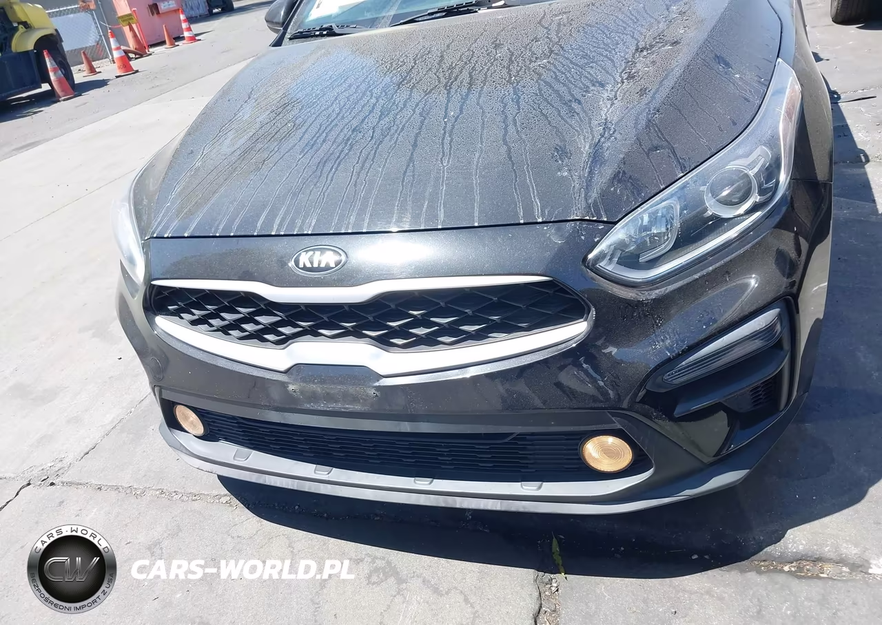 2020 Kia Forte Fe VIN:3KPF24AD5LE236118 - 13