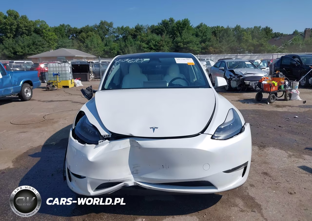 2023 Tesla Model Y Awd-Long Range Dual Motor All-Wheel Drive VIN:7SAYGDEE2PA188204 - 13