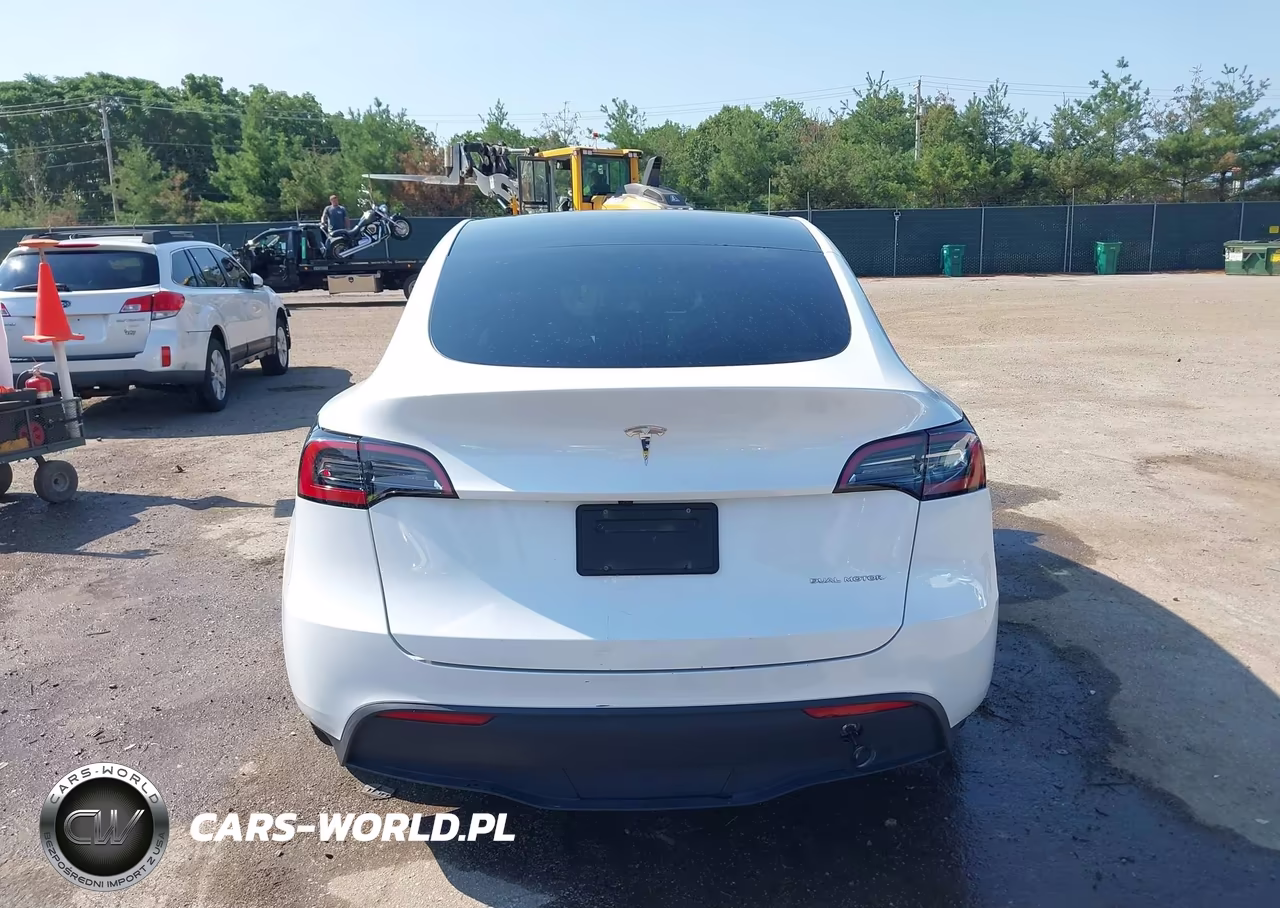 2023 Tesla Model Y Awd-Long Range Dual Motor All-Wheel Drive VIN:7SAYGDEE2PA188204 - 17