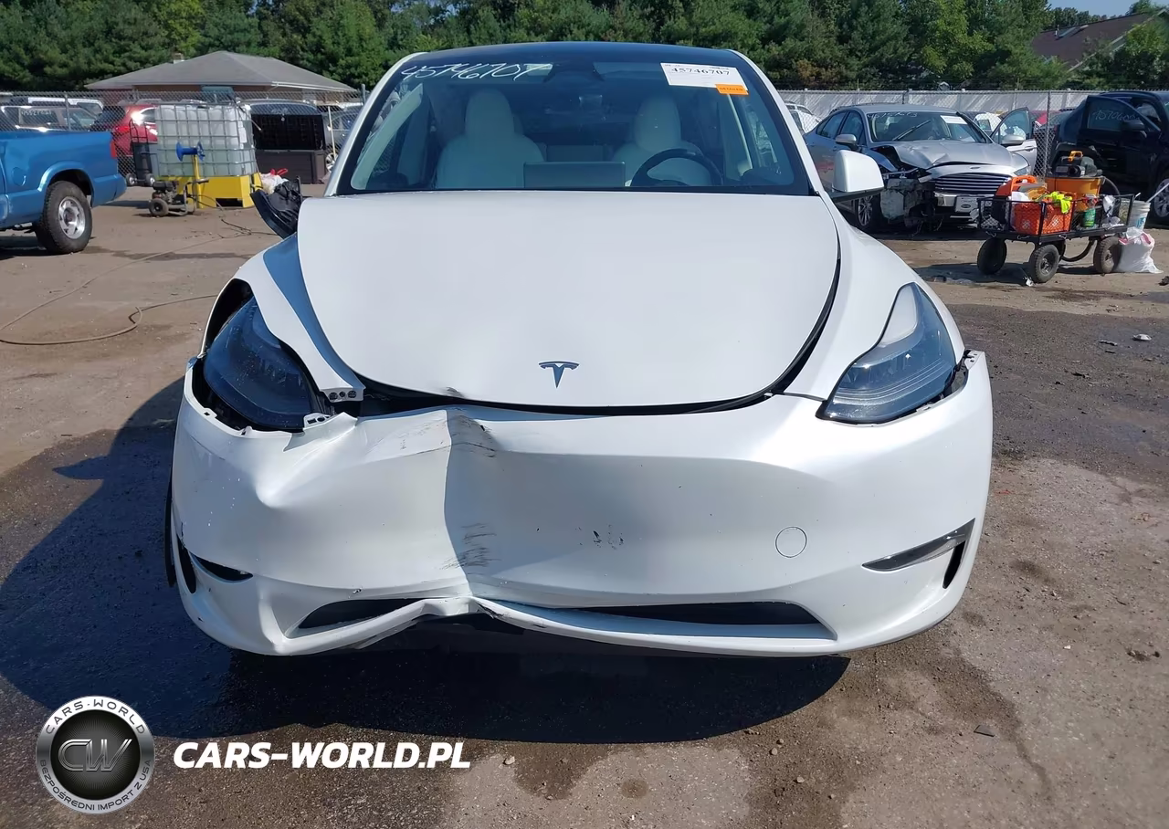 2023 Tesla Model Y Awd-Long Range Dual Motor All-Wheel Drive VIN:7SAYGDEE2PA188204 - 20
