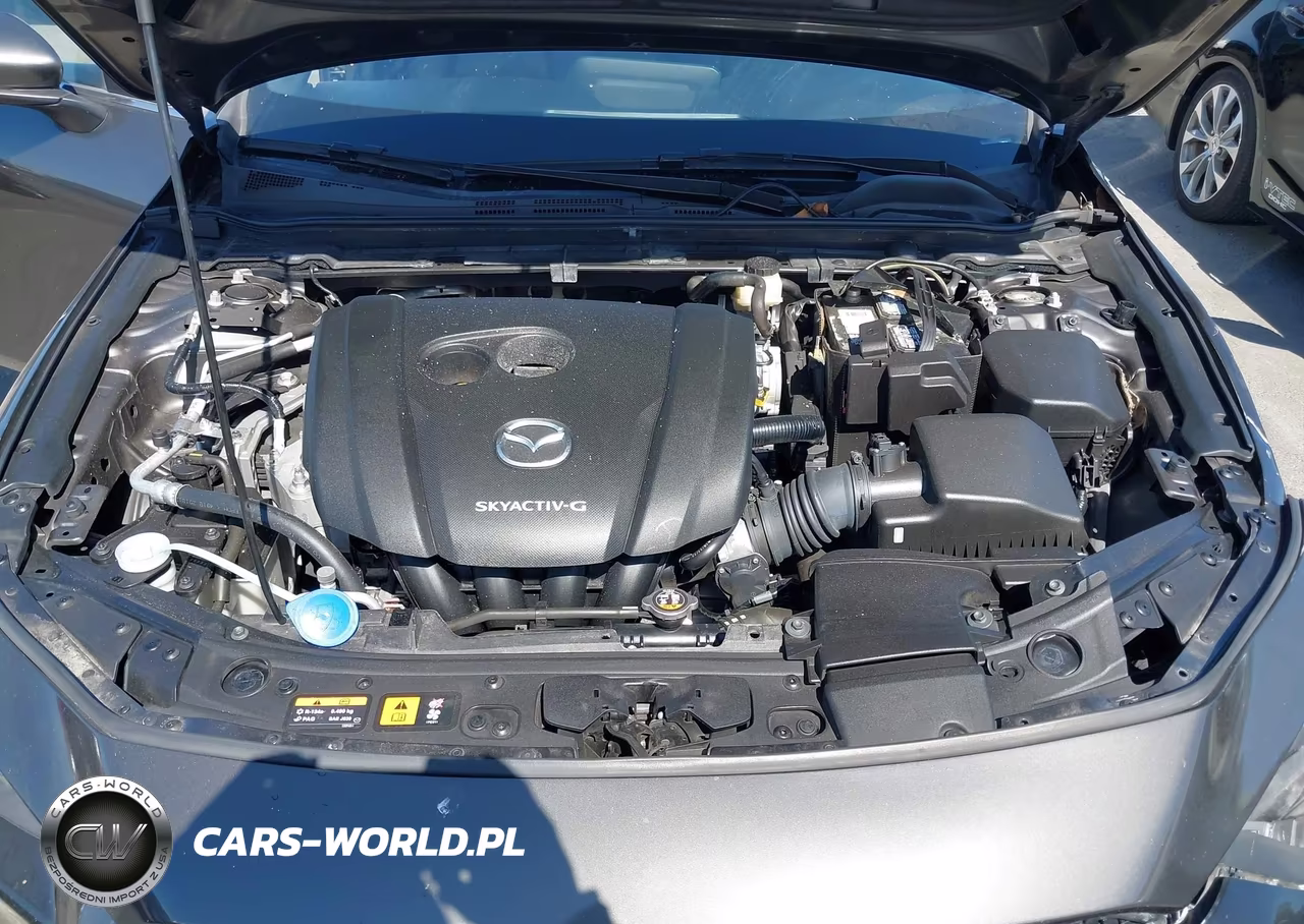 2019 Mazda Mazda3 VIN:JM1BPAJM0K1119336 - 10
