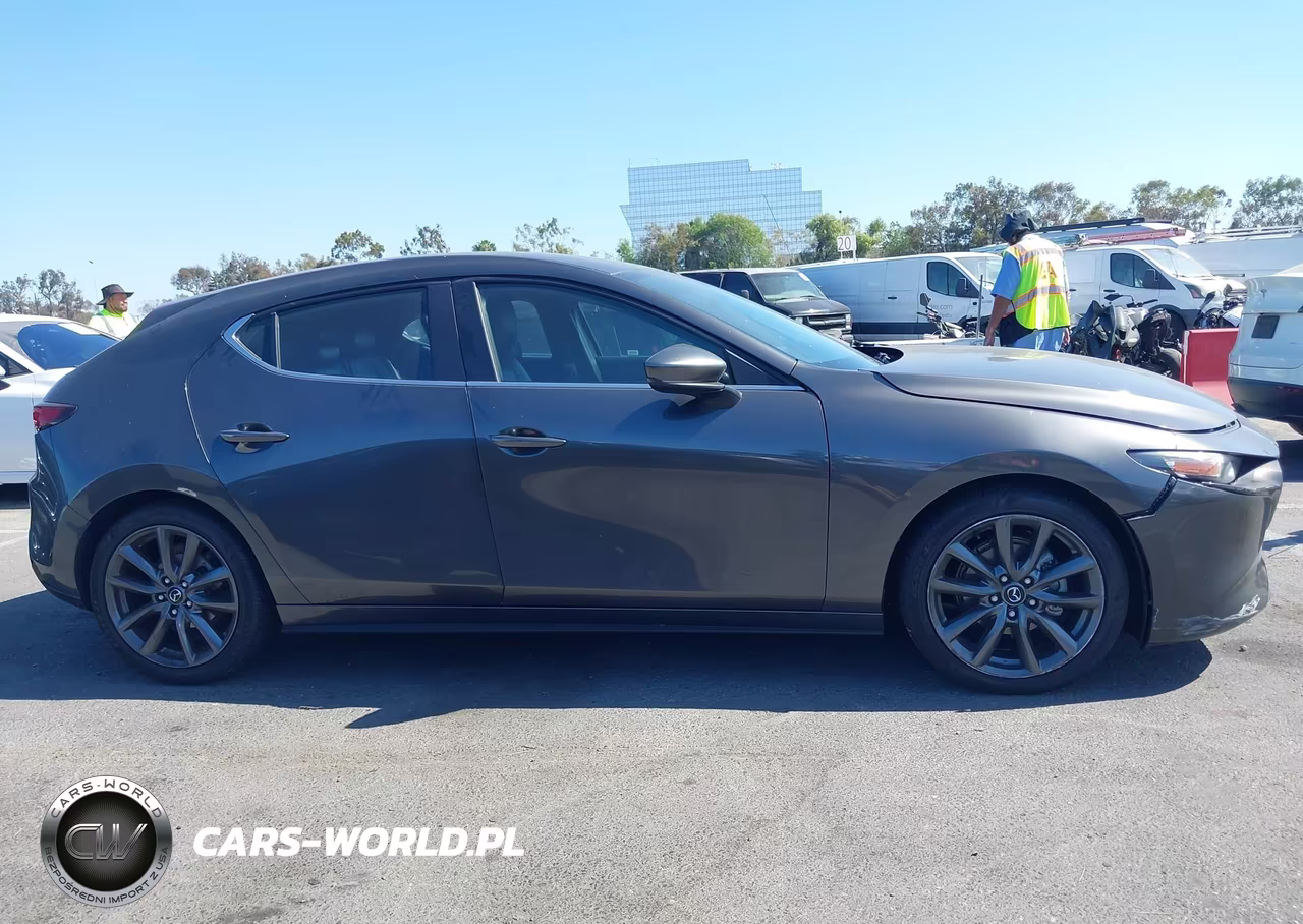 2019 Mazda Mazda3 VIN:JM1BPAJM0K1119336 - 12