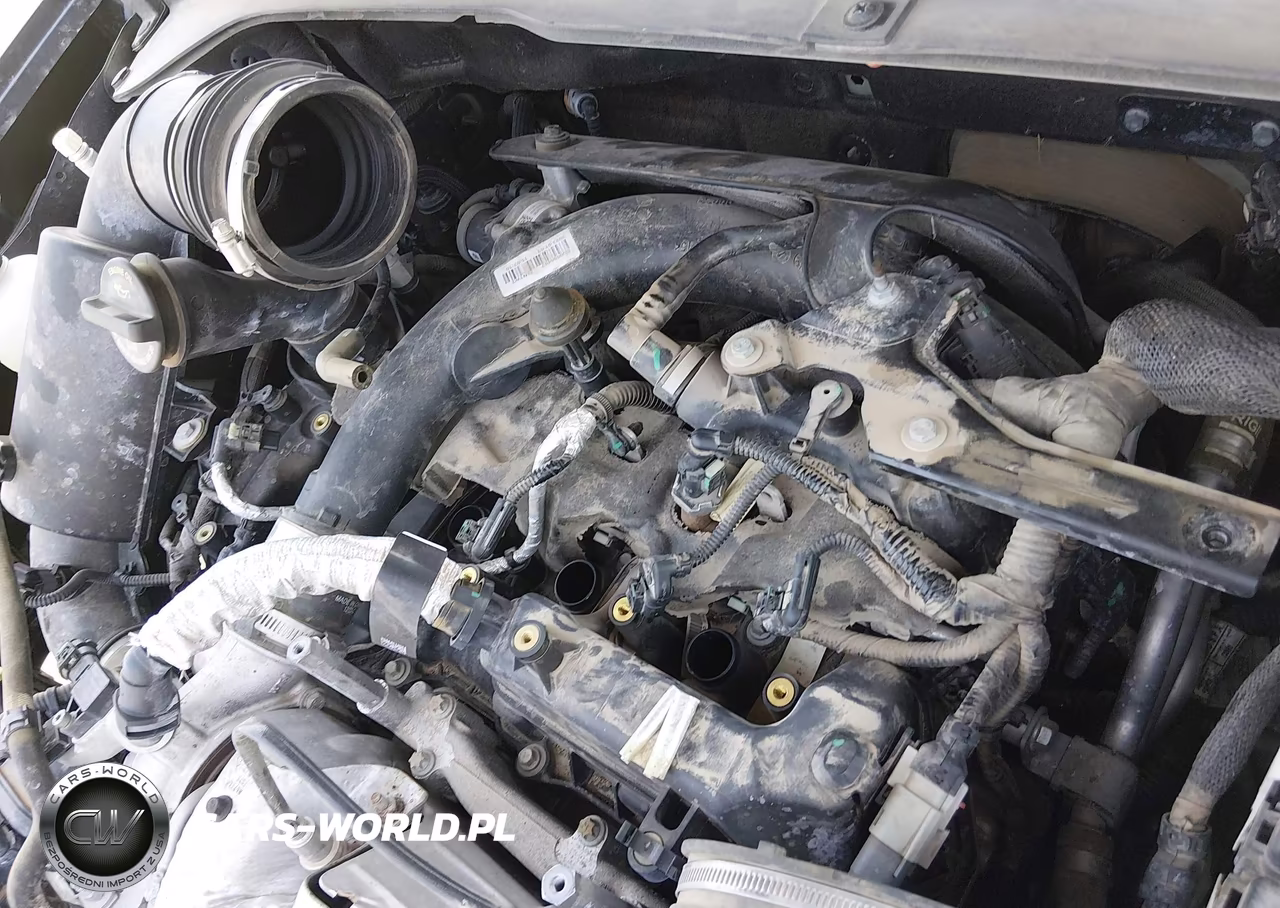 2023 Dodge Hornet Gt Awd VIN:ZACNDFAN7P3A03271 - 18