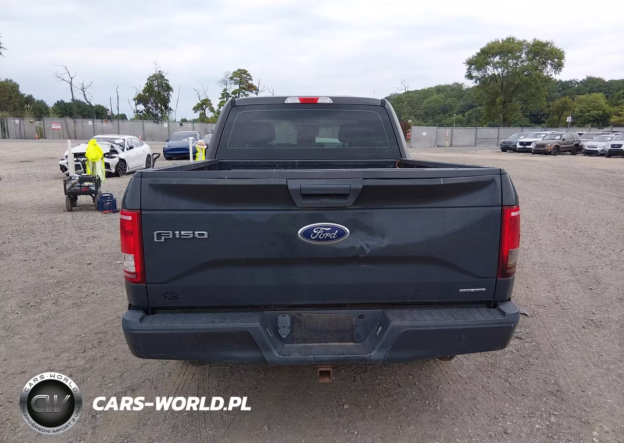 2016 Ford F-150 Xl VIN:1FTEX1C87GFA51074 - 17