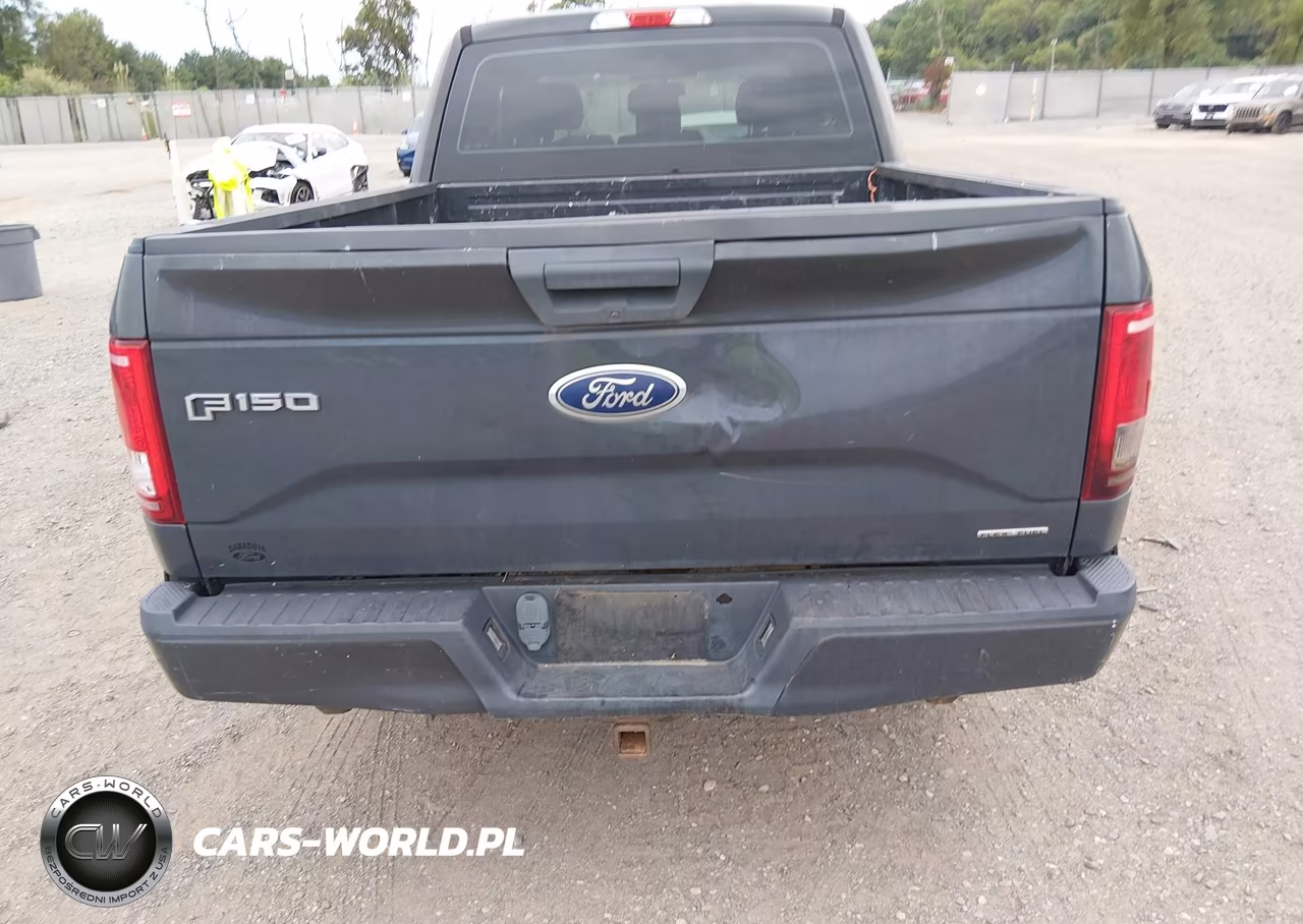 2016 Ford F-150 Xl VIN:1FTEX1C87GFA51074 - 18