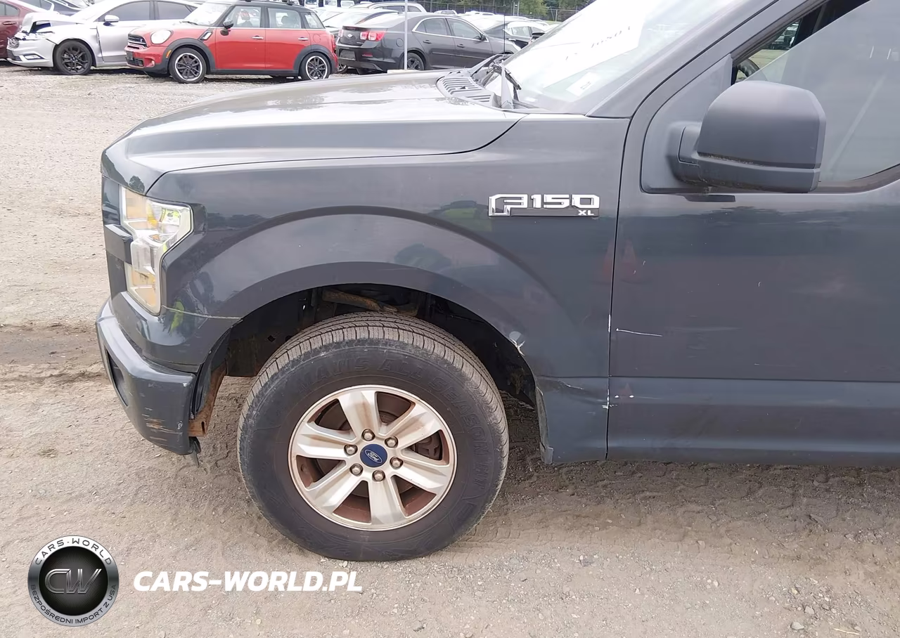 2016 Ford F-150 Xl VIN:1FTEX1C87GFA51074 - 21