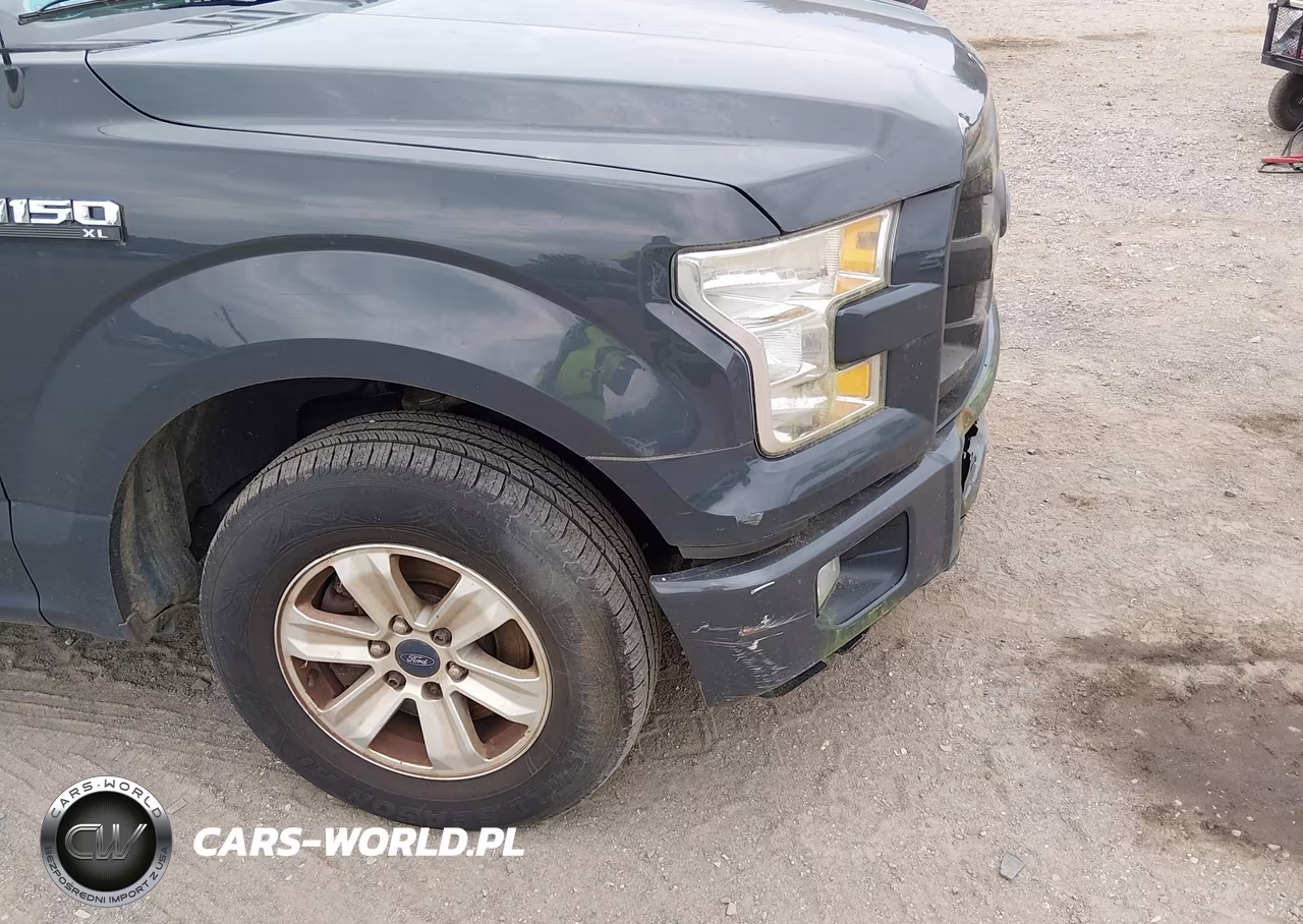 2016 Ford F-150 Xl VIN:1FTEX1C87GFA51074 - 22