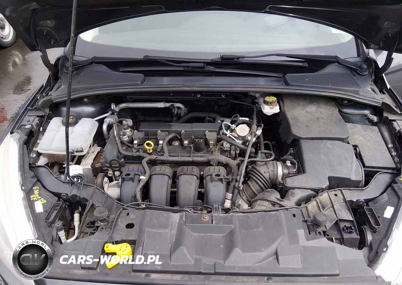 2018 Ford Focus Se VIN:1FADP3F27JL254933 - 10