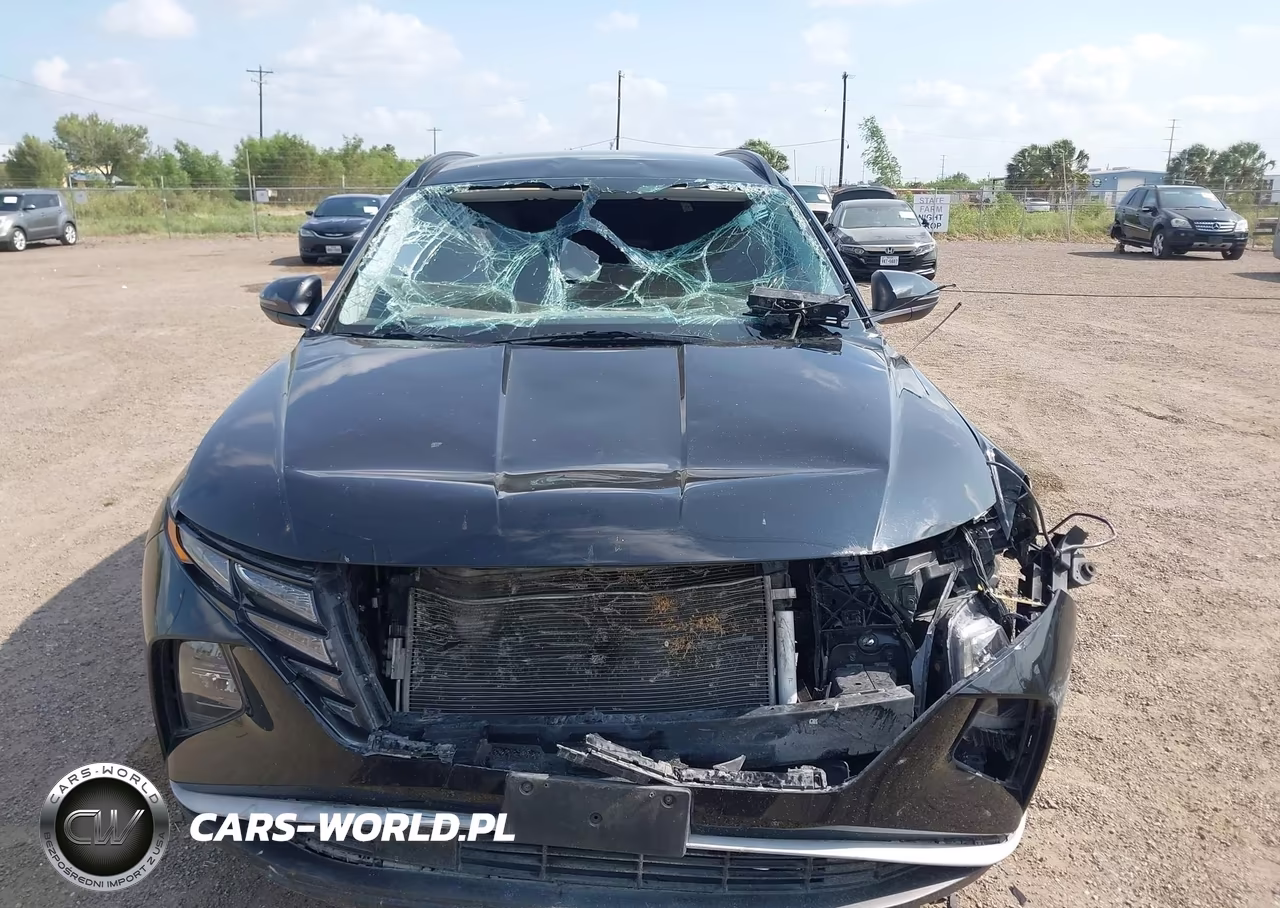 2023 Hyundai Tucson Sel VIN:5NMJB3AE1PH259861 - 12