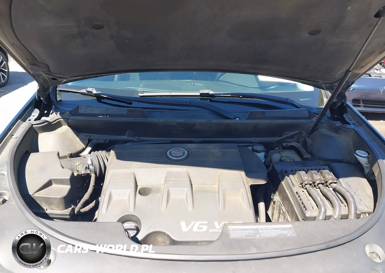 2013 Cadillac Srx Luxury Collection VIN:3GYFNCE36DS646636 - 10