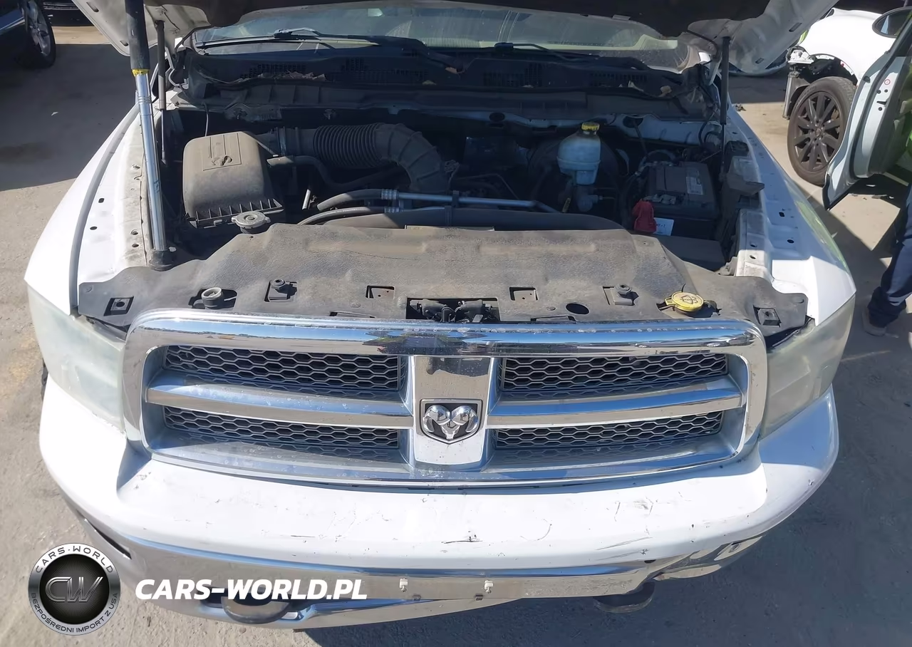 2010 Dodge Ram 1500 Laramie VIN:1D7RB1CT1AS213385 - 10