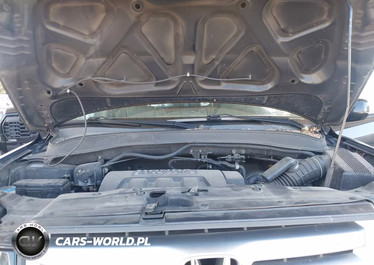 2006 Honda Pilot Ex-L VIN:5FNYF28636B022297 - 10