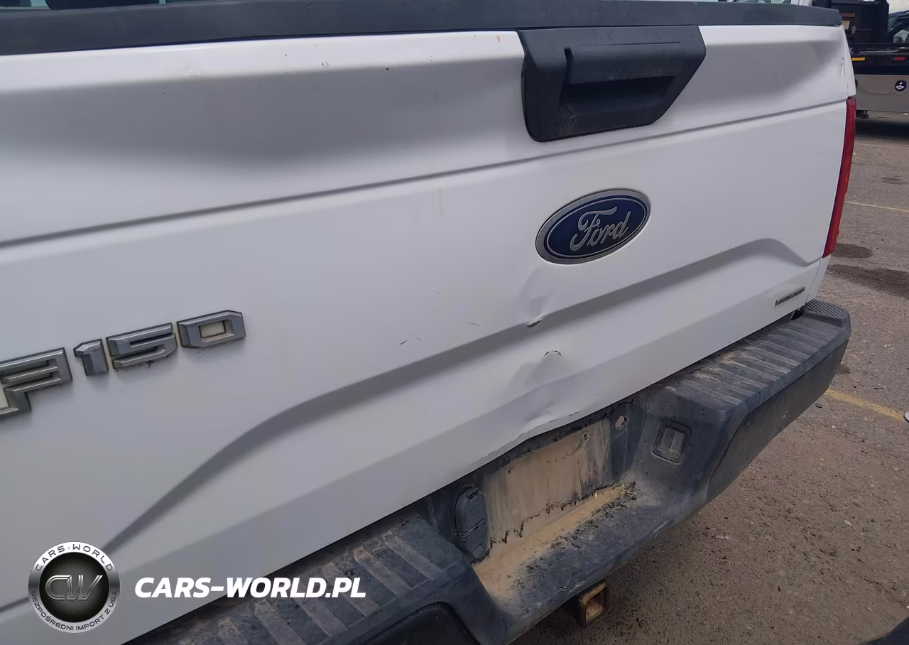 2016 Ford F-150 Xl VIN:1FTEX1EF7GKD05580 - 12
