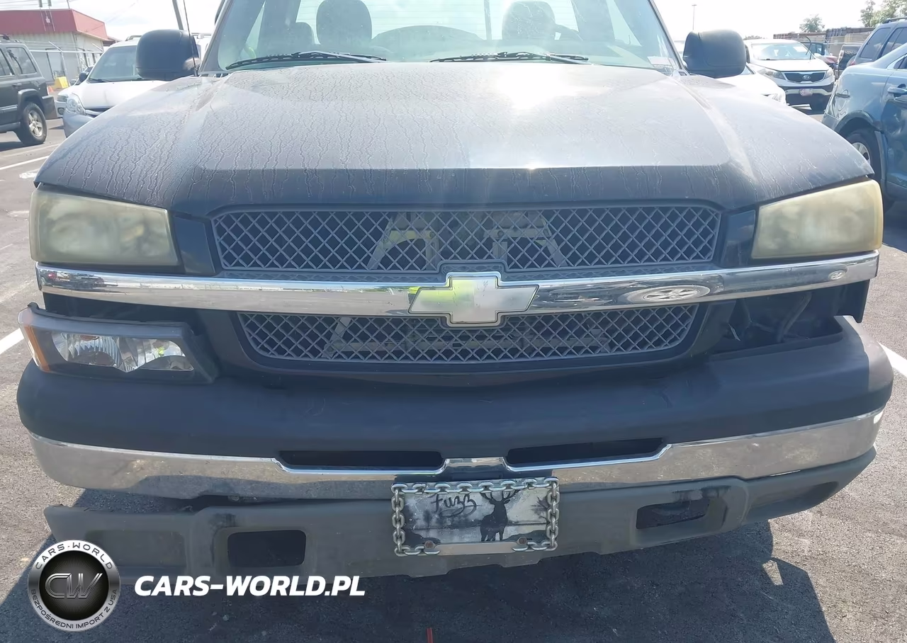2003 Chevrolet Silverado 1500 Ls VIN:1GCEC14T53Z120576 - 12