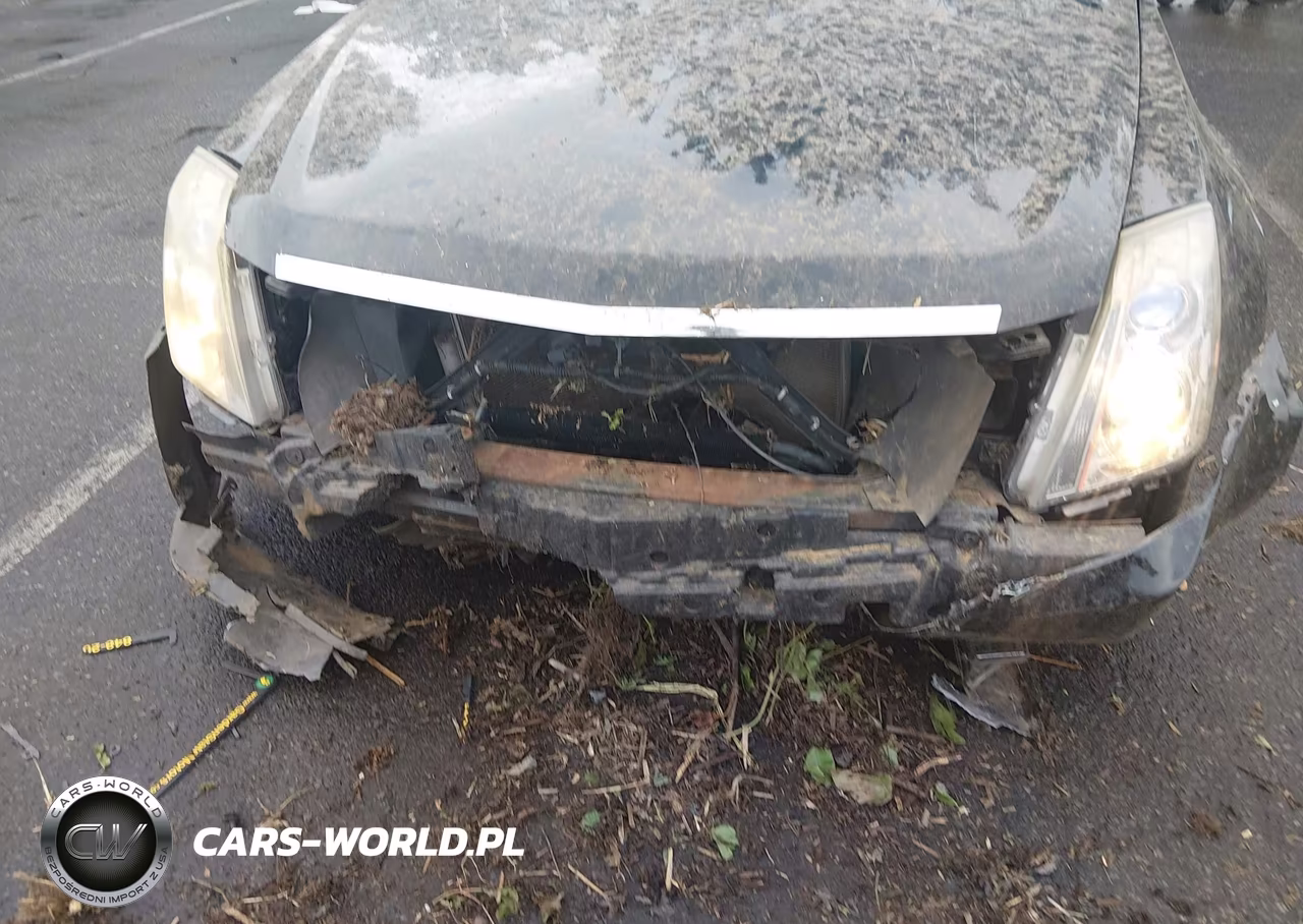 2011 Cadillac Cts Luxury VIN:1G6DG5EYXB0136165 - 6