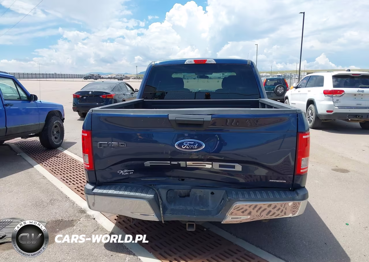 2015 Ford F-150 Xlt VIN:1FTEW1C83FFA61487 - 16