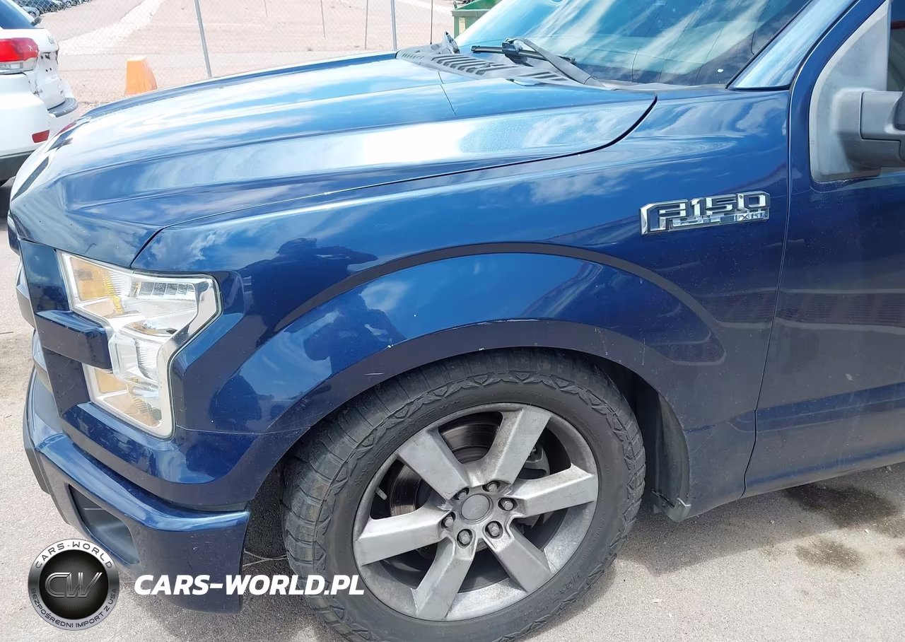 2015 Ford F-150 Xlt VIN:1FTEW1C83FFA61487 - 19