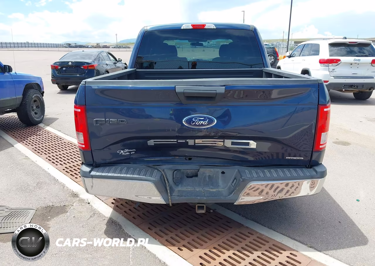 2015 Ford F-150 Xlt VIN:1FTEW1C83FFA61487 - 6
