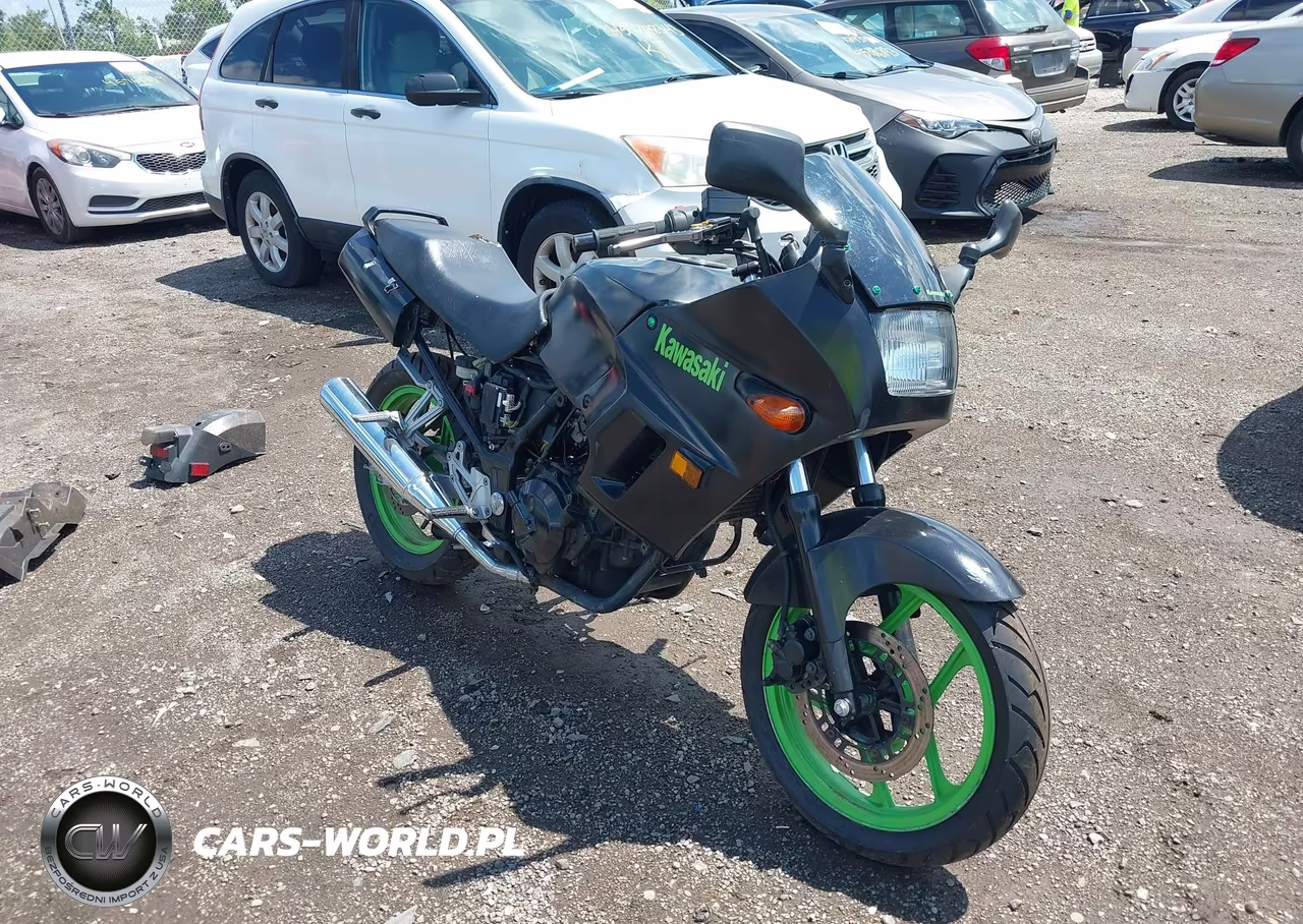 1998 Kawasaki Ex250 F – zdjęcie 1 z 14