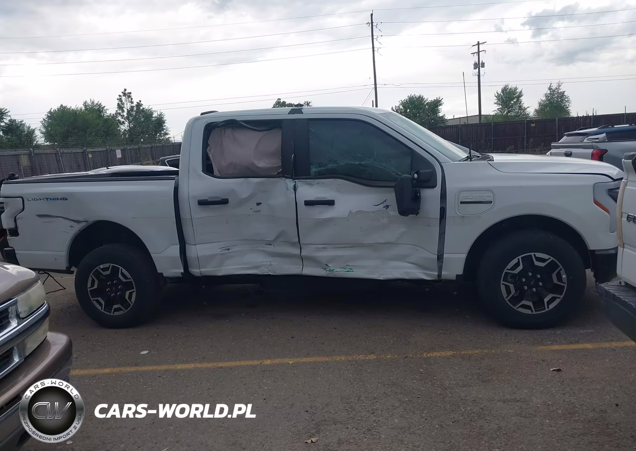 2023 Ford F-150 Lightning Pro VIN:1FT6W1EV3PWG31786 - 13