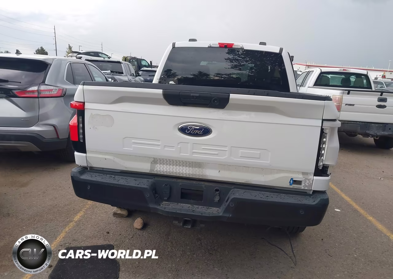 2023 Ford F-150 Lightning Pro VIN:1FT6W1EV3PWG31786 - 16