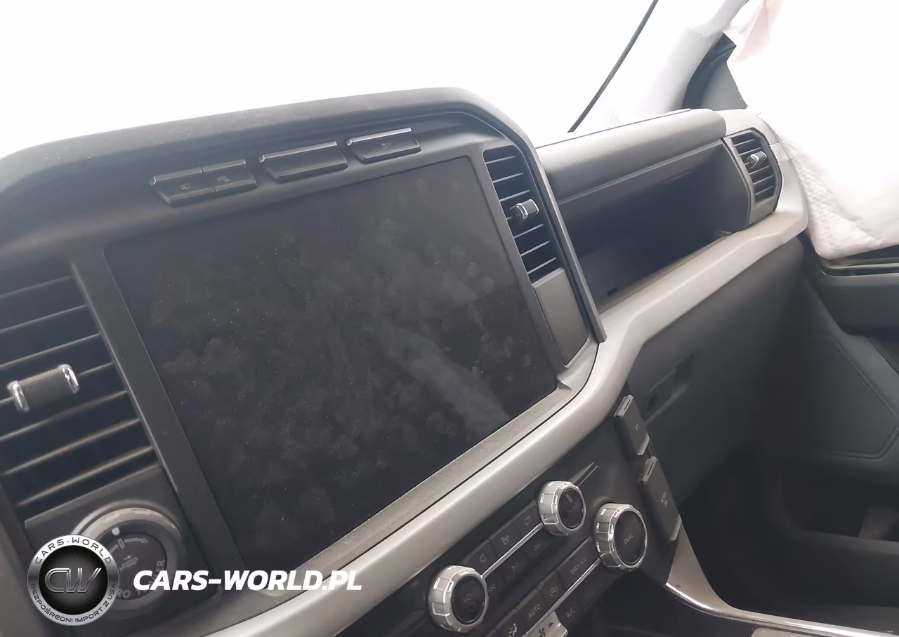 2023 Ford F-150 Lightning Pro VIN:1FT6W1EV3PWG31786 - 17
