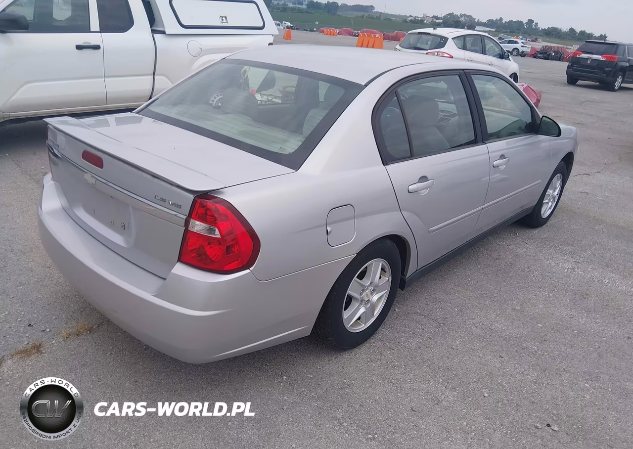 2004 Chevrolet Malibu Ls VIN:1G1ZT54844F180493 - 4