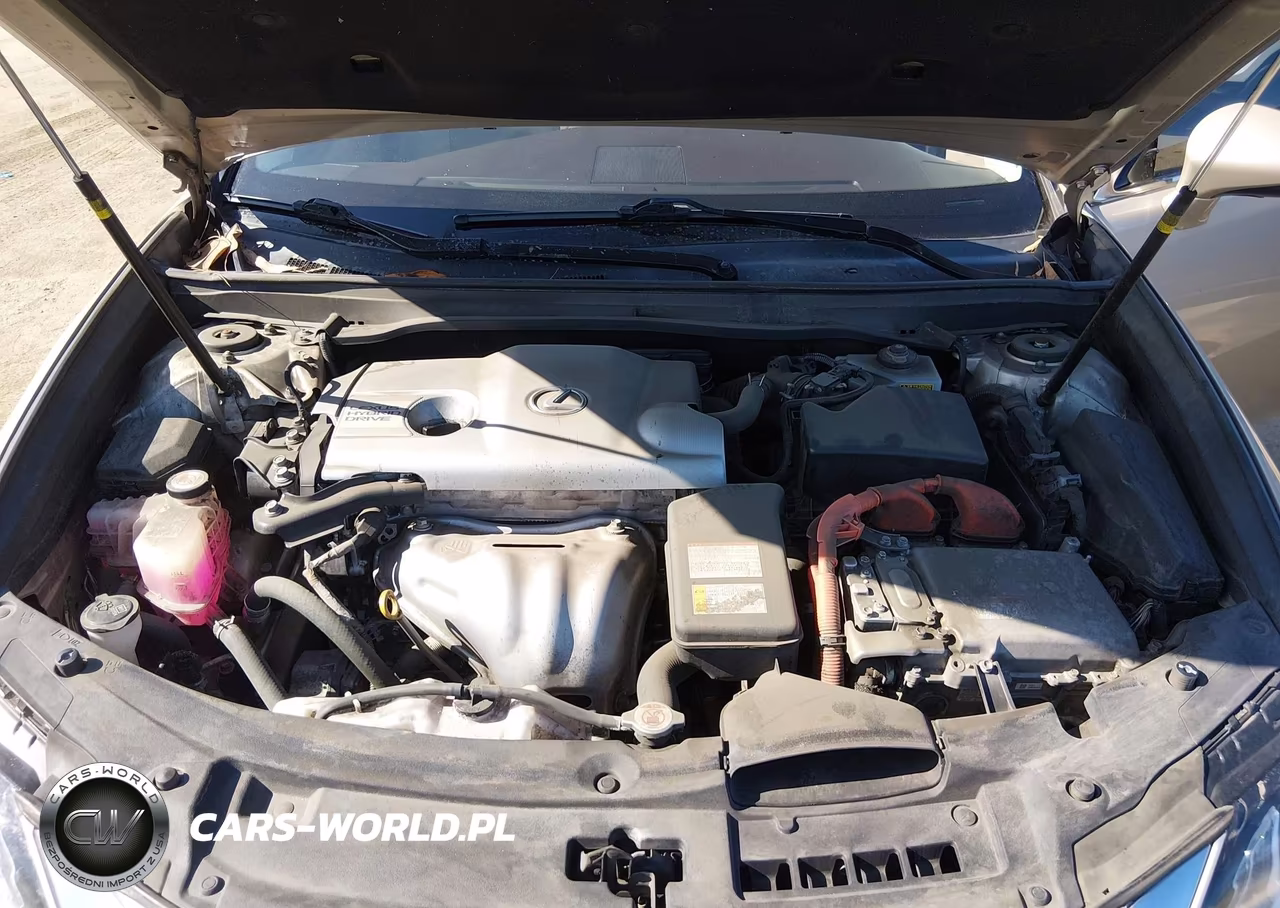 2018 Lexus Es 300H VIN:JTHBW1GG3J2187450 - 10