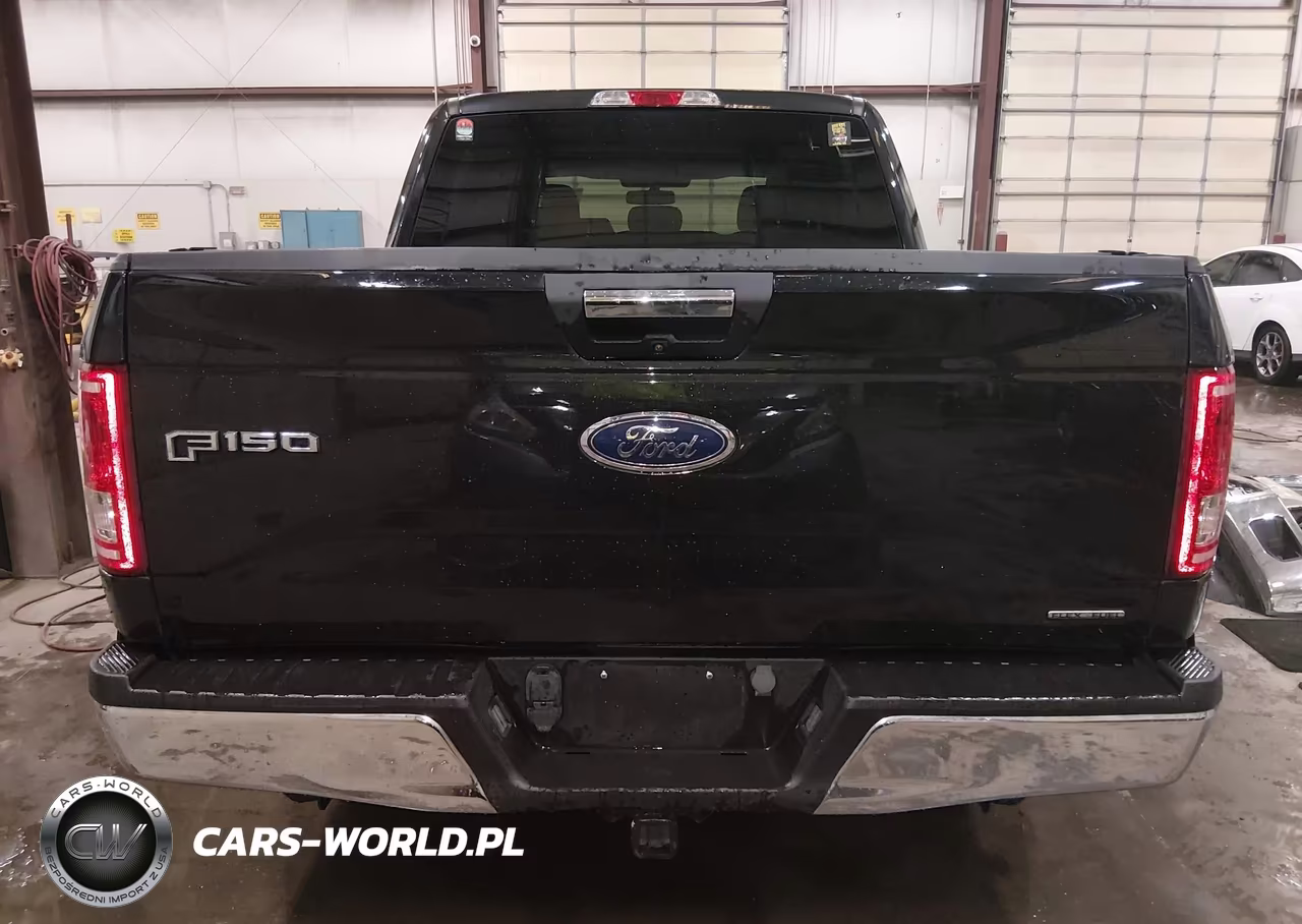 2015 Ford F-150 Xlt VIN:1FTEW1C89FKF22988 - 17