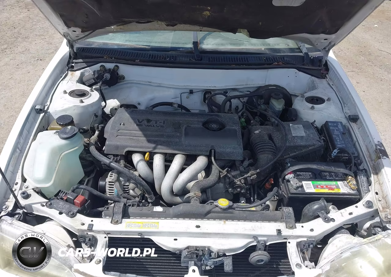 2000 Toyota Corolla Ce VIN:1NXBR12E2YZ412854 - 10