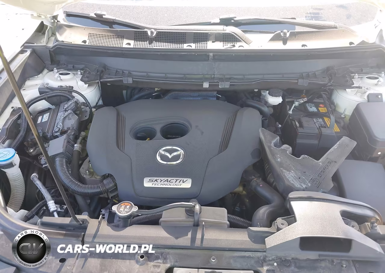 2019 Mazda Cx-9 Touring VIN:JM3TCACY2K0334679 - 10