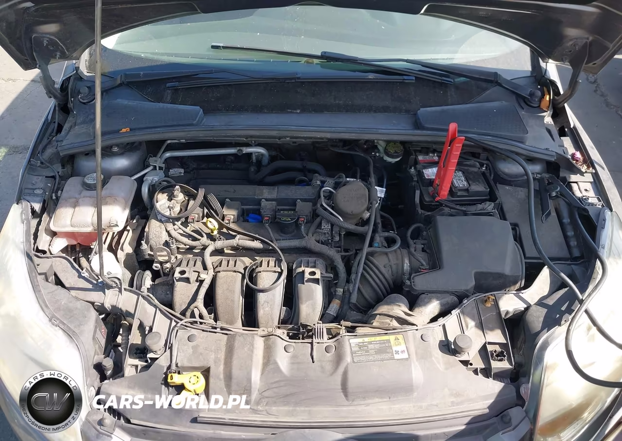 2014 Ford Focus Se VIN:1FADP3K25EL176261 - 10