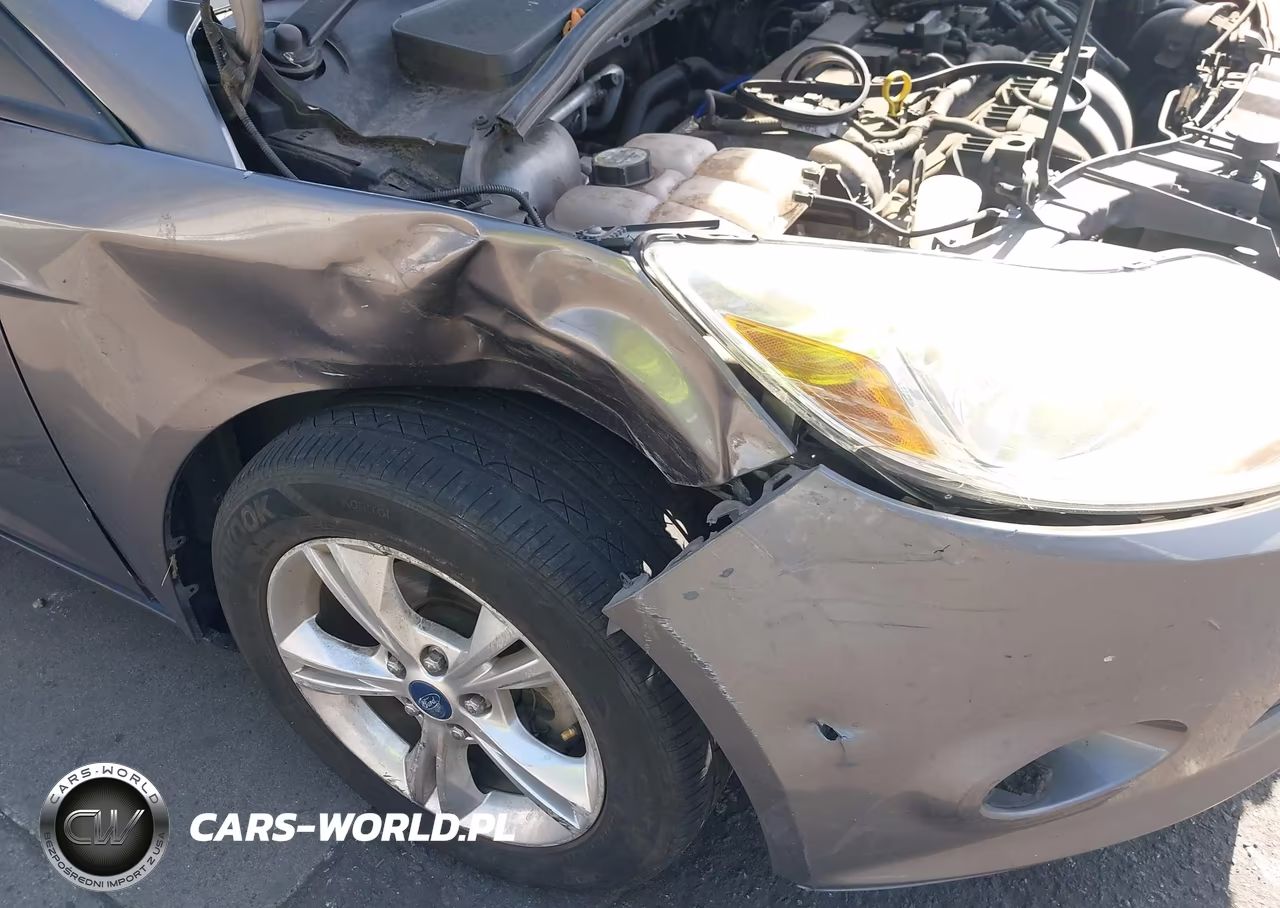2014 Ford Focus Se VIN:1FADP3K25EL176261 - 12