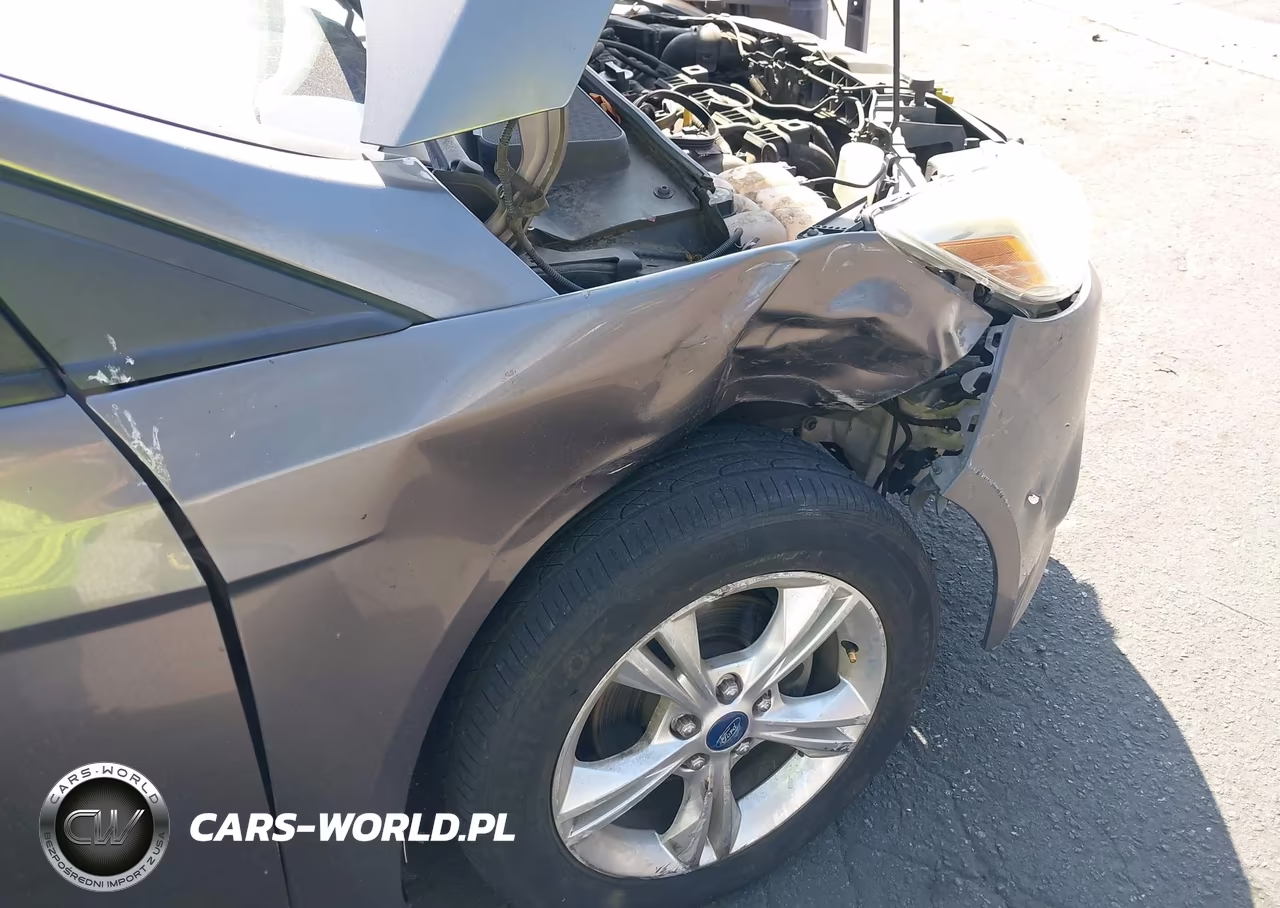 2014 Ford Focus Se VIN:1FADP3K25EL176261 - 6