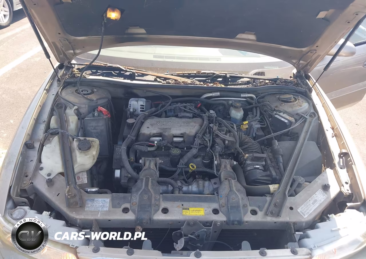 1997 Buick Century Custom VIN:2G4WS52M7V1404664 - 10