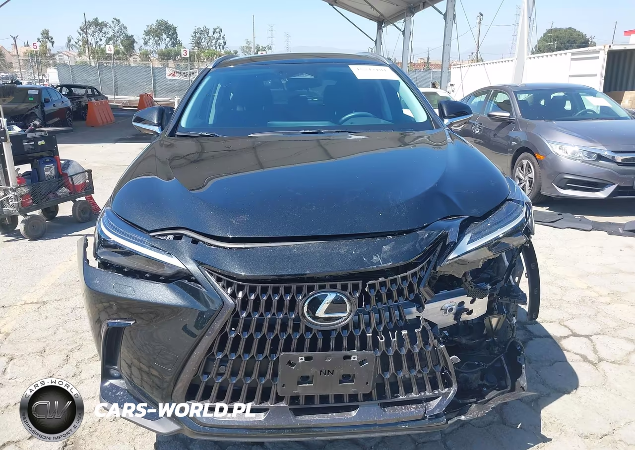 2025 Lexus Nx 450H+ Luxury VIN:JTJHKCFZXS2043205 - 12
